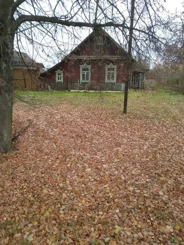 Дом в Бешенковичский р-н,  (80 км. от г. Витебска). 6