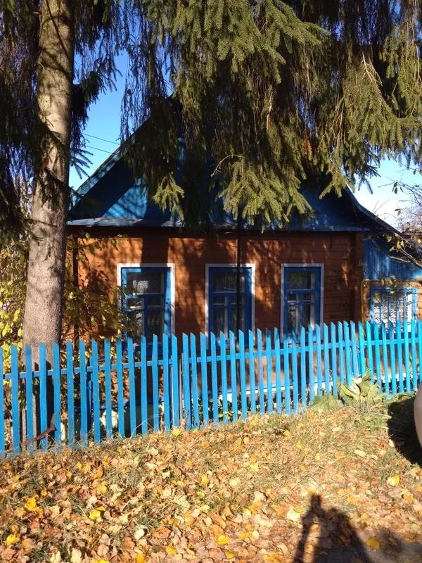 Деревянный дом ул. Чунчина,  г.Витебск 4