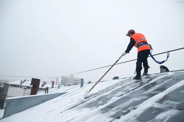 Услуги арбористов,  промышленный альпинизм и аренда спецтехники 8