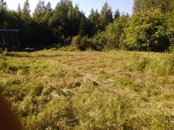 продажа земли 11, 25 соток в районе озера Зароновское 