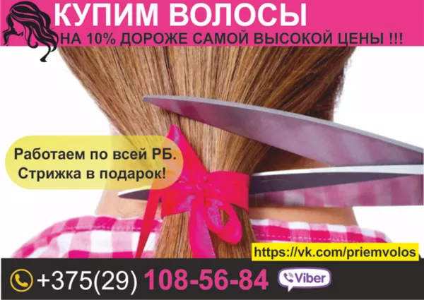 Продать волосы Витебск. Натуральные волосы. Купим волосы по все Беларуси.